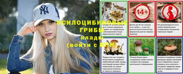 ПСИЛОЦИБИНОВЫЕ ГРИБЫ Каменка
