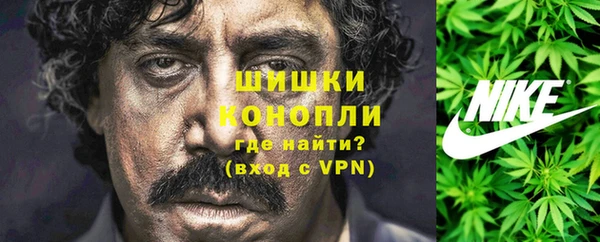 ПСИЛОЦИБИНОВЫЕ ГРИБЫ Каменка
