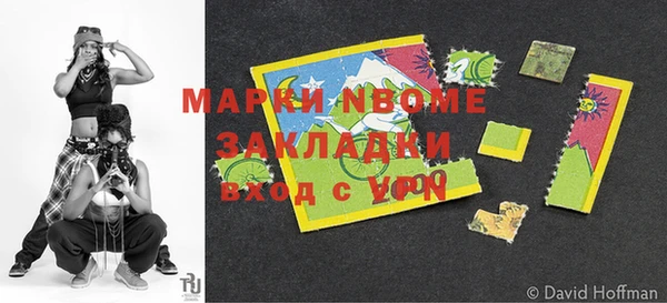 ПСИЛОЦИБИНОВЫЕ ГРИБЫ Каменка