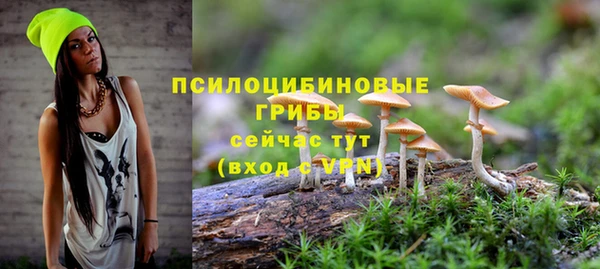 спиды Каменск-Шахтинский