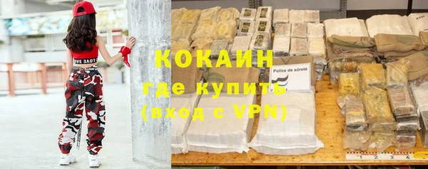 ПСИЛОЦИБИНОВЫЕ ГРИБЫ Каменка