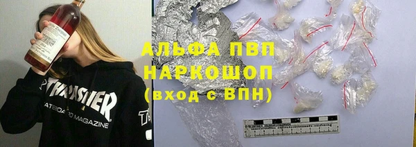 ПСИЛОЦИБИНОВЫЕ ГРИБЫ Каменка