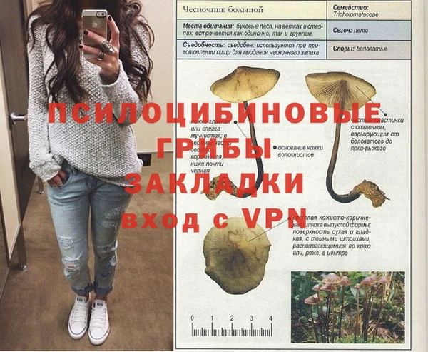 таблы Каменногорск
