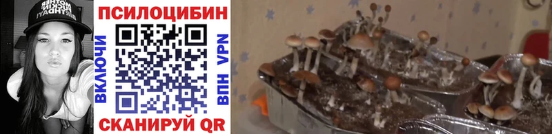 Псилоцибиновые грибы прущие грибы  Мегион 