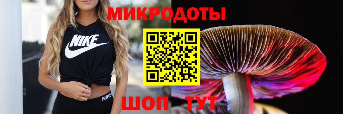 Псилоцибиновые грибы MAGIC MUSHROOMS  Псилоцибиновые грибы Psilocybe  цена наркотик  Вход с VPN  Мегион 
