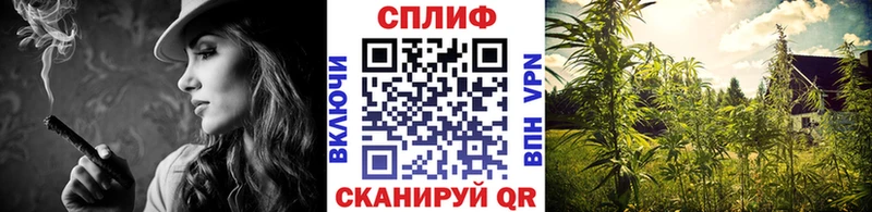 МАРИХУАНА марихуана Мегион